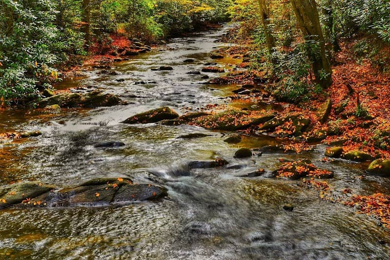Roan Mountain State Park - Image 2