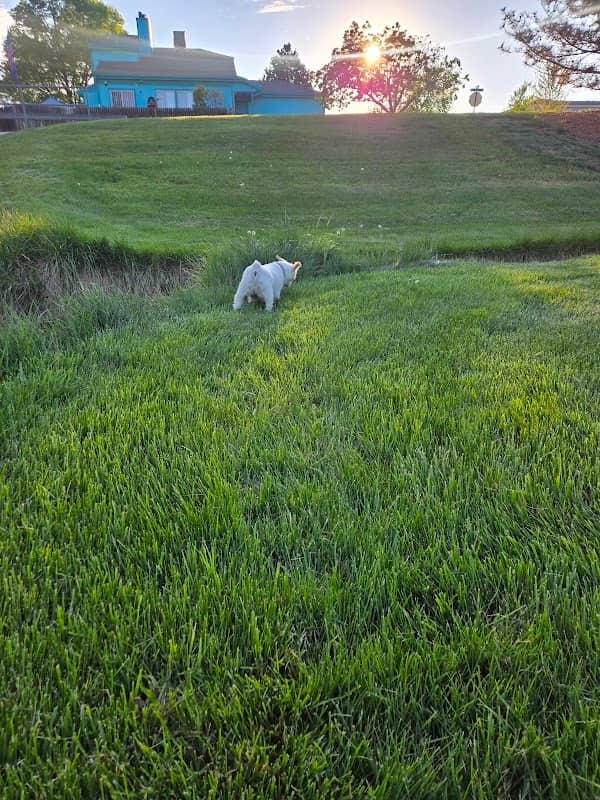 Glencoe Park - Image 2