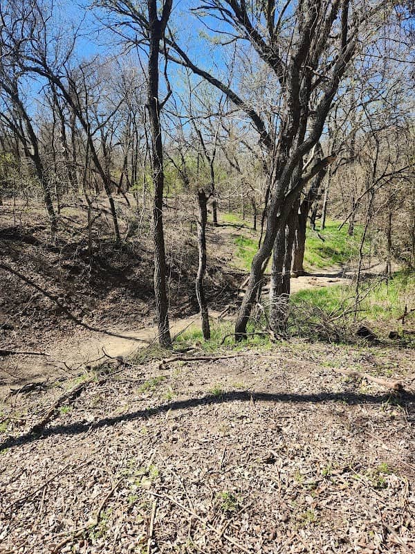 Willow Park Wildscape (Deer Park) - Image 2