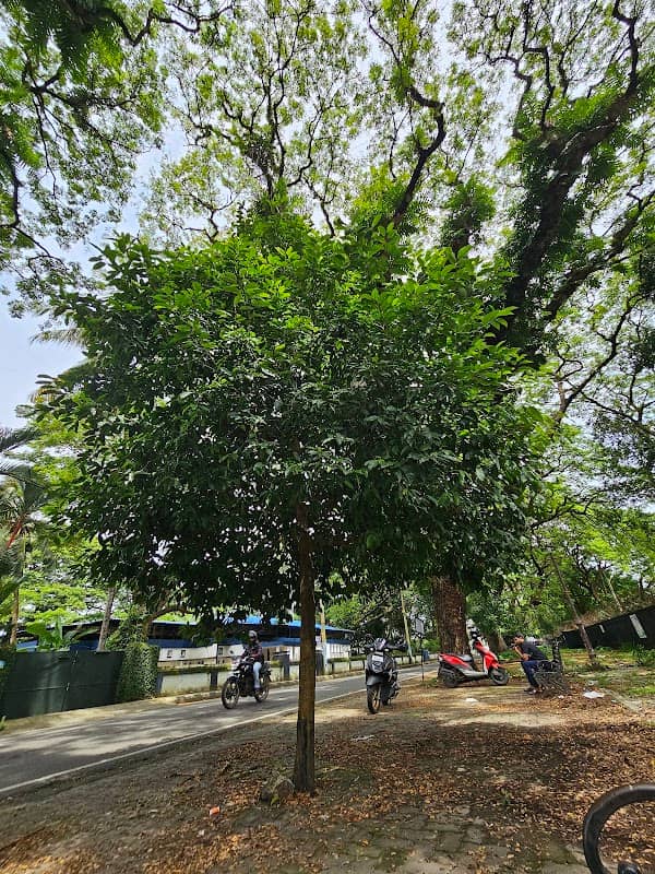 Dronacharya Relaxing Point - Image 2