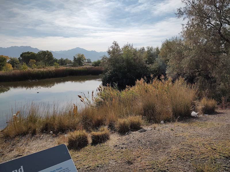 Jordan River Parkway Cottonwood Pond - Image 2