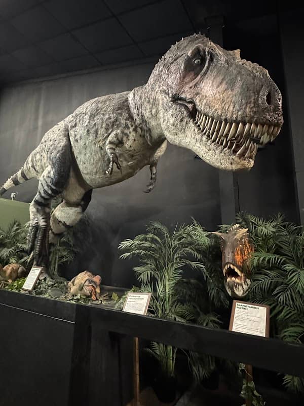 Dinosaur Museum - Image 2
