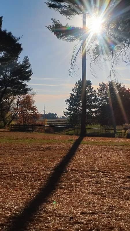 Akron Park - Image 2