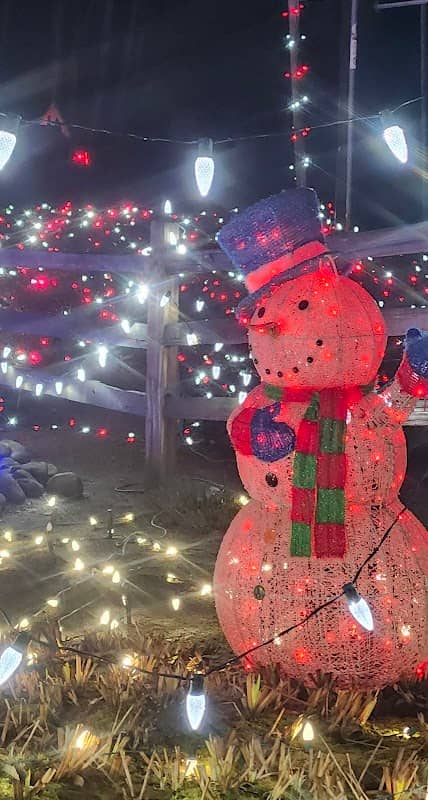 Keener's Christmas Lights - Image 1