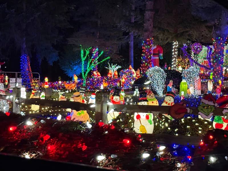 Keener's Christmas Lights - Image 3