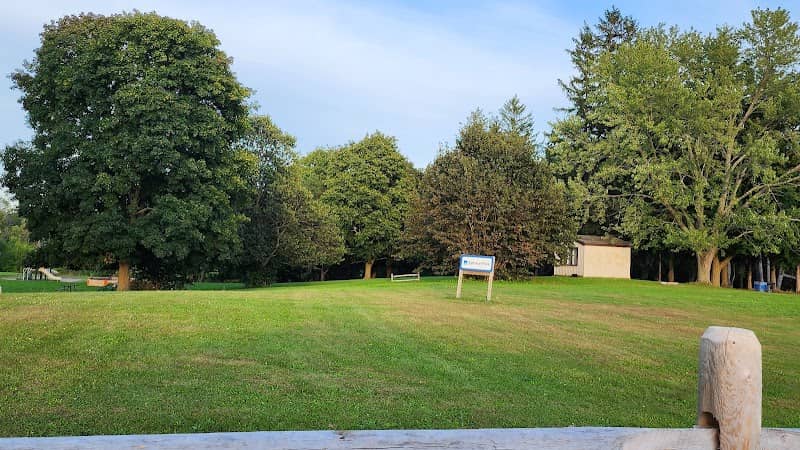 Spruce Tree Zone - Image 1