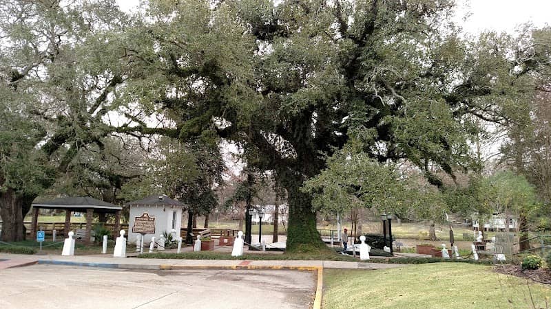 Evangeline Oak Park - Image 2