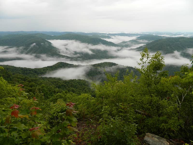 Little Shepherd Trail & Kentennia State Forest - Image 1