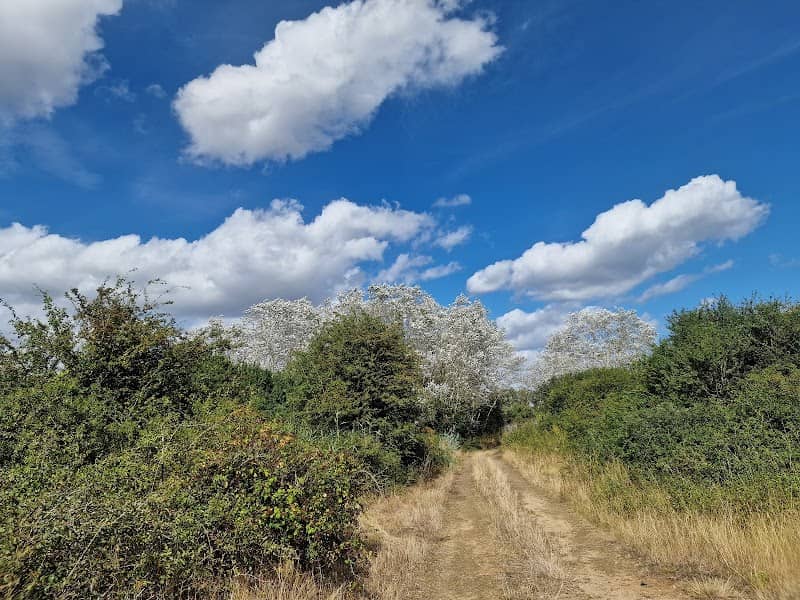 Canvey Wick - Image 1