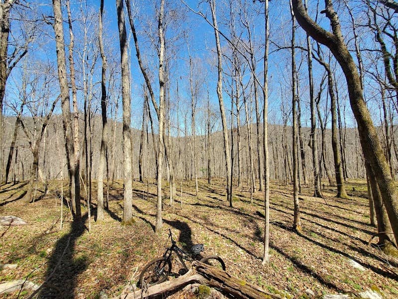 Monte Sano State Park - Image 2