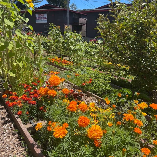 Sanctuary Garden of Centro del Pueblo - Image 2
