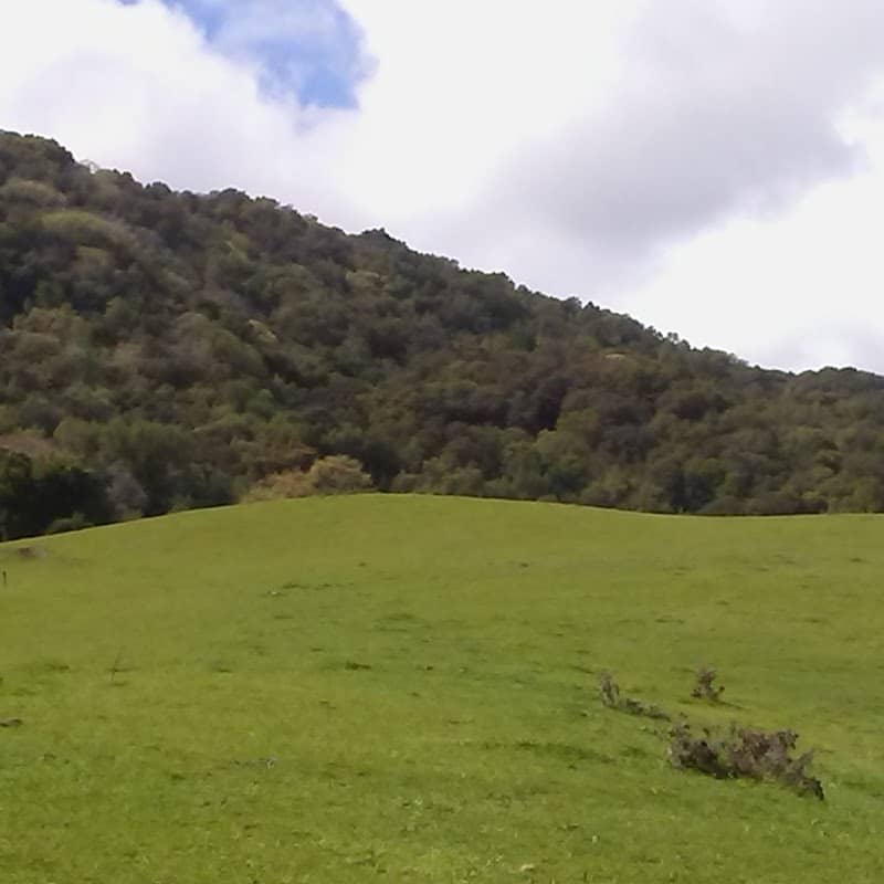 Elworthy Staging Area, Las Trampas Regional Wilderness - Image 2