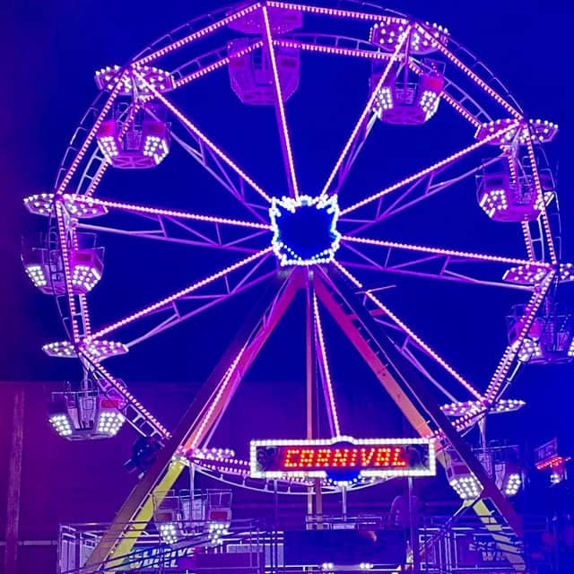 Magnolia Fair Festival - Image 2