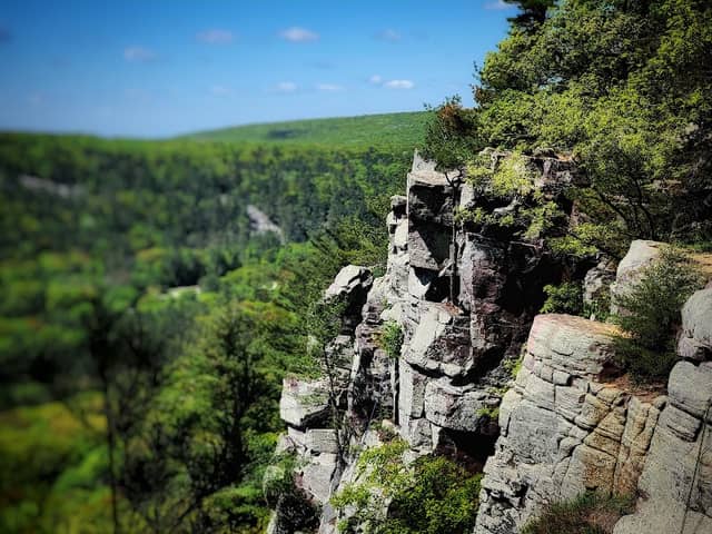 CCC Trail - Image 1