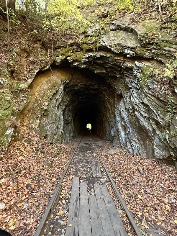 Andrews Valley Rail Tours - Image 2