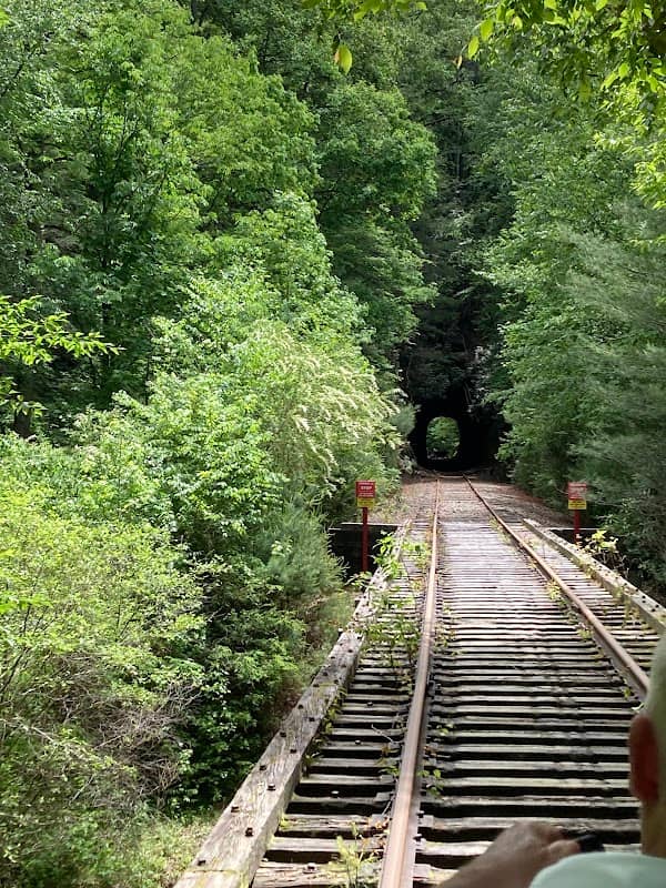 Andrews Valley Rail Tours - Image 1