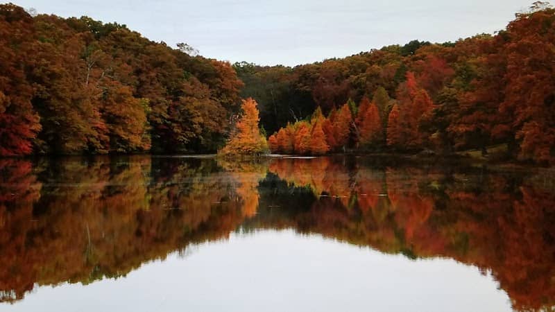 White Oak Nature Preserve - Image 2