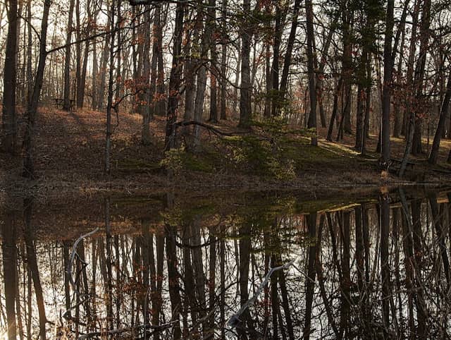 White Oak Nature Preserve - Image 1