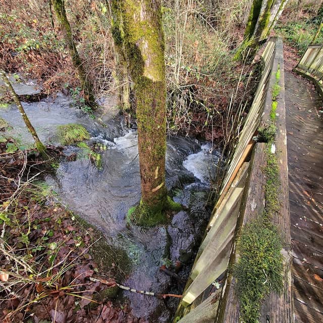 Wilsonville Canyon Creek Park - Image 2