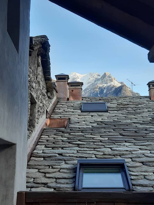La corte degli asini - Image 2