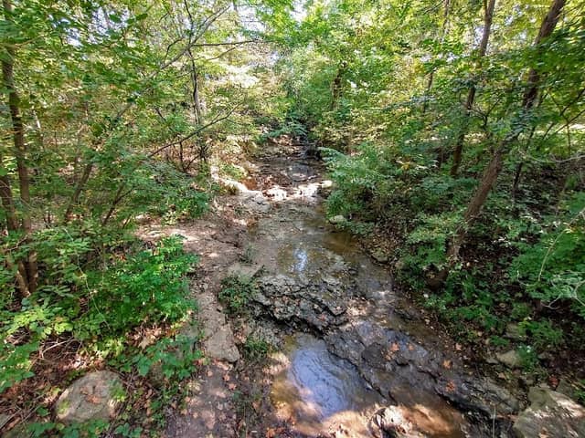 Devils Glen Park - Image 1