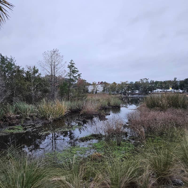 Kiwanis Park - Image 1