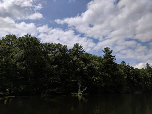 Salmon Falls Trail - Image 2