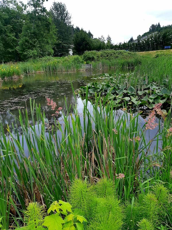 Brookwood Park - Image 3