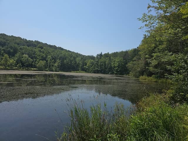 Jackson Pond Park - Image 1