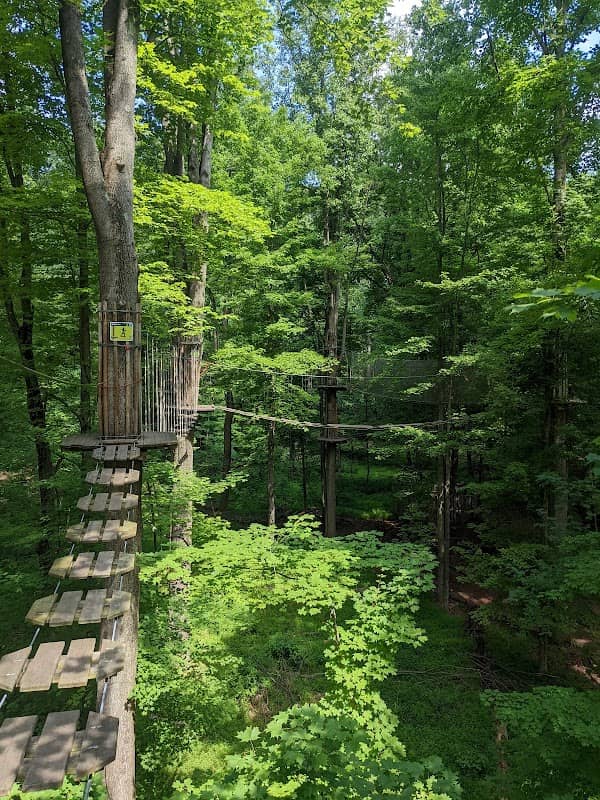 Go Ape Zipline and Adventure Park - Image 2