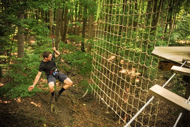 Go Ape Zipline and Adventure Park - Image 1