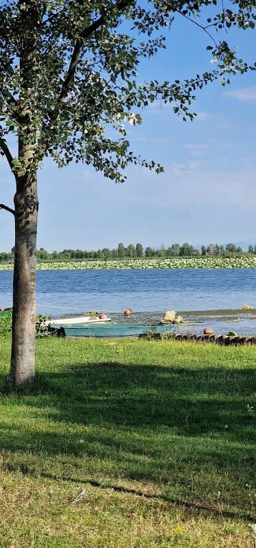 Isola dei Fiori di Loto - Image 3