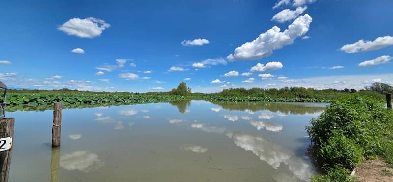 Isola dei Fiori di Loto - Image 2
