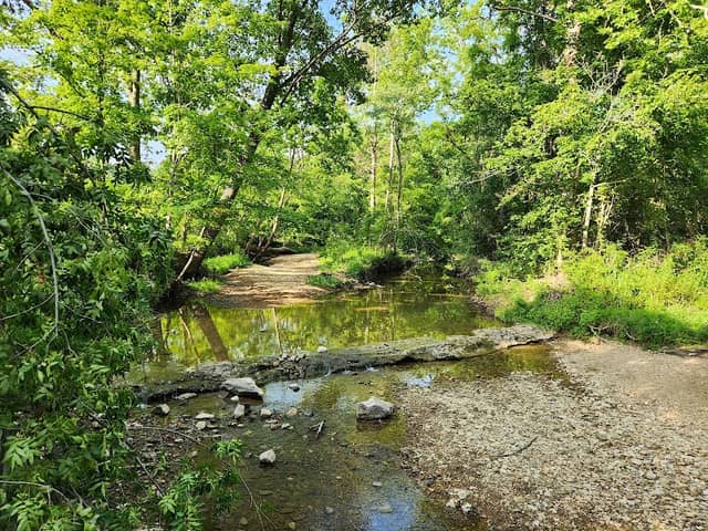 Jackson Creek Trail - Image 1