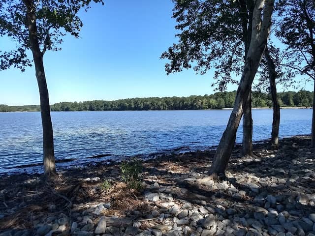 Spyglass Island - Image 1