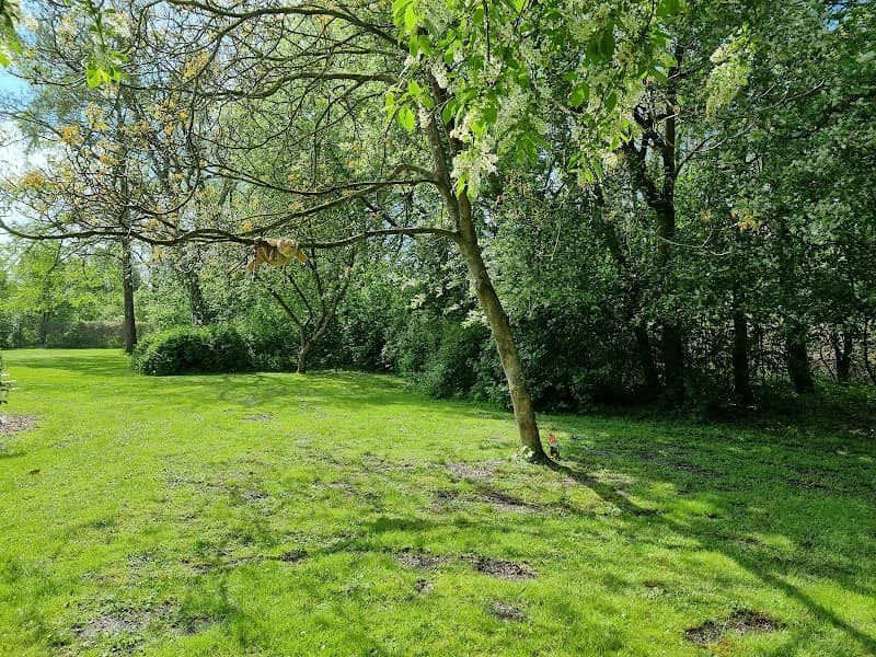 ODIN Park - Image 2