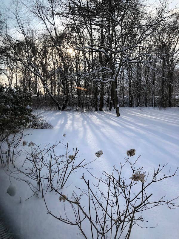 ODIN Park - Image 1