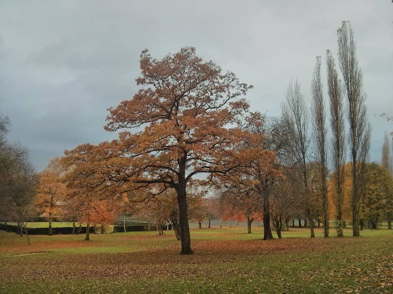 Holmfield Park - Image 1