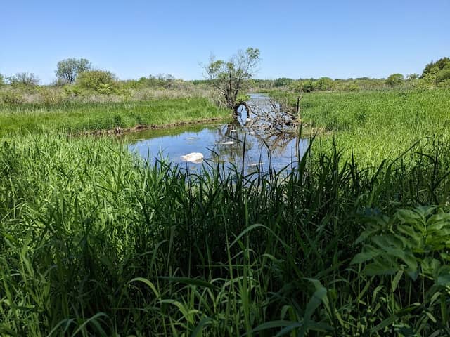 Nevin Springs Fish and Wildlife Area - Image 1