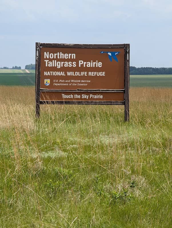 Touch the Sky Prairie - Image 2