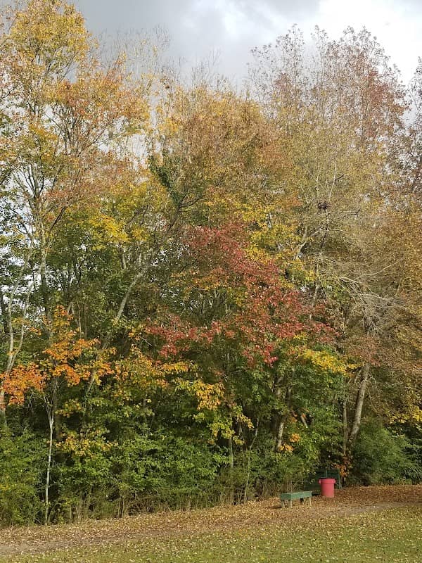 Pates Creek Park - Image 2