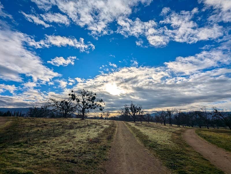 Holmes Park - Image 1