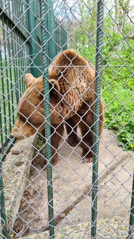 Grădina Zoologică Bârlad - Image 1