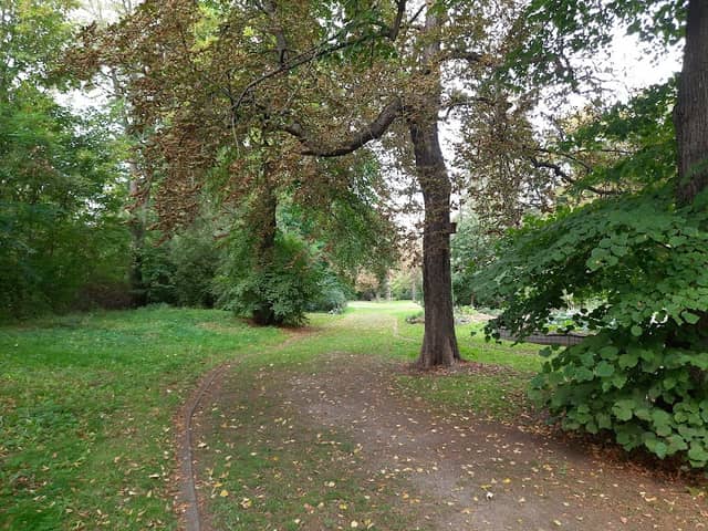 Werdau Park - Image 2