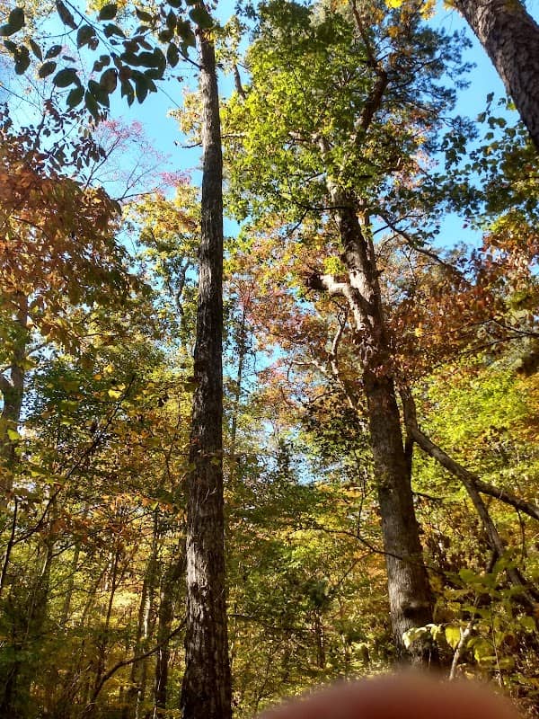 Talladega National Forest; Shoal Creek Ranger District - Image 2