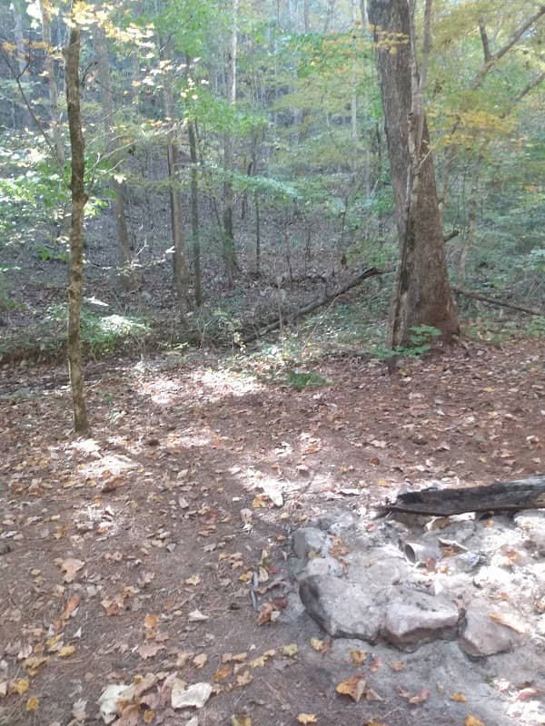 Talladega National Forest; Shoal Creek Ranger District - Image 3