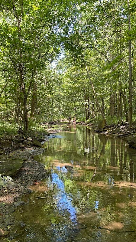 Scarlet Oak Woods - Image 1