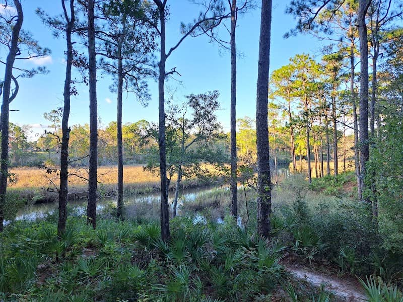 Mississippi Sandhill Crane National Wildlife Refuge Fontainebleau Nature Trail - Image 1