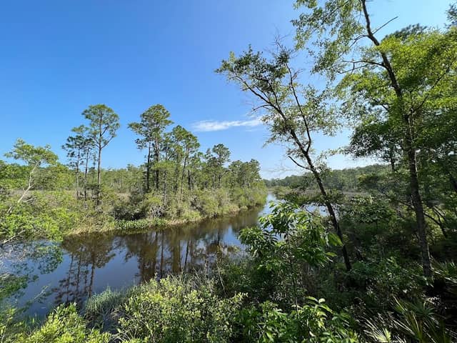 Fountaine Bleu Trail, Mississippi Coastal Birding Trail, Ocean Springs, MS - Image 2
