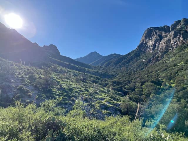 Organ Needles Trailhead - Image 3